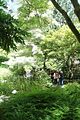 151 - Butchard Gardens  - IMG_1711